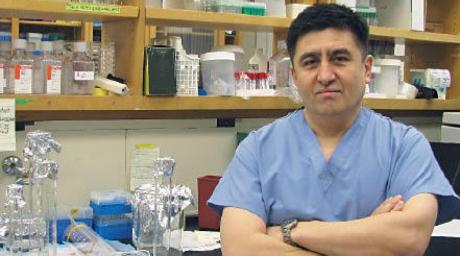 Lo scienziato Shoukhrat Mitalipov sta seguendo la ricerca sulla clonazione di cellule umane 