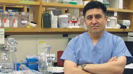 Lo scienziato Shoukhrat Mitalipov sta seguendo la ricerca sulla clonazione di cellule umane