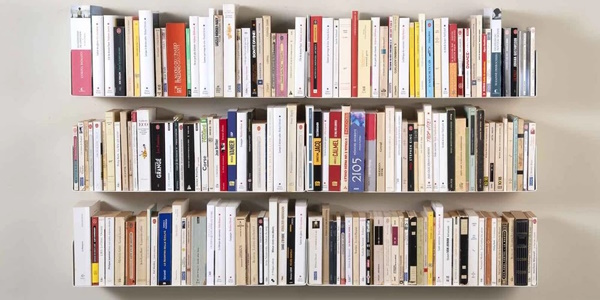 L’influenza di “aesthetic” e “vibes” sull’approccio alla lettura: Un nuovo modo di vivere i libri